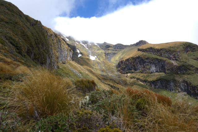 Egmont National Park, Taranaki in the mist