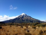 'Not too bad', Kia Ora Taranaki!