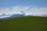 Roadtripping Taranaki