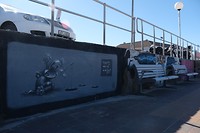 DSCF9865