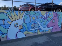 IMG_8806