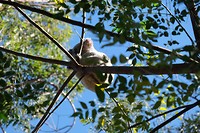 DSCF9013