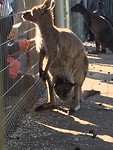 IMG_5080