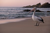 DSCF9382