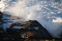 DSCF9448