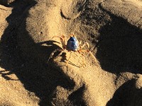 IMG_9268