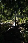 DSCF9495