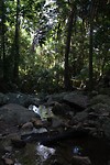 DSCF9507