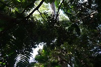 DSCF9508