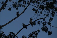 DSCF9514
