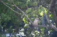 DSCF9728