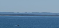 DSCF9738