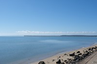 DSCF9806