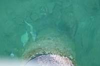 DSCF9818