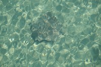 DSCF9842