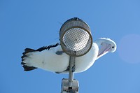 DSCF9844