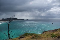 DSCF9917