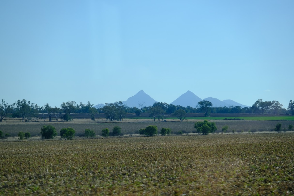 DSCF0165