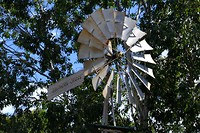 DSCF0169