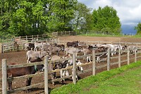 P1230549