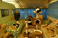 P1240311