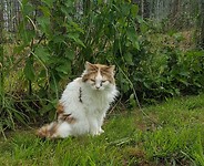 20190517_153219