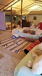 Rondleiding 1 kattenasiel Viareggio