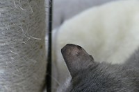 P1240530