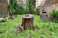 P1240485