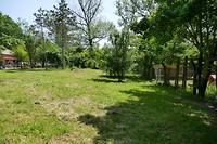 P1260342