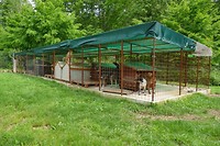 P1260347