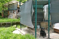 P1260443