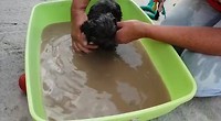Puppy's wassen