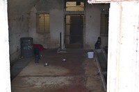 P1270190
