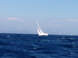 Harde wind, veel boten op de kant