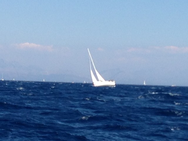 Harde wind, veel boten op de kant