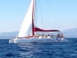 Een catamaran