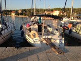 Boot aralia