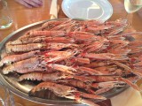 Scampi's