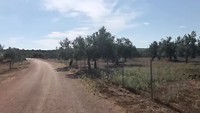 onderweg