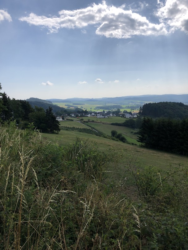 74F131B7-463E-4F1C-9AAA-8F7CC6C9025A