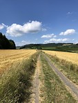 21932E25-C984-47DE-B005-667525CD0009