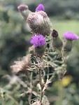 E4039C26-249D-4EF8-AC87-C72584126C66