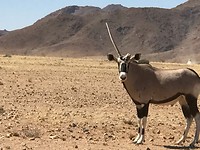 IMG_2076