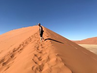 IMG_2095