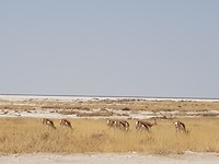 20180915_150456