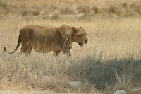 P1020366