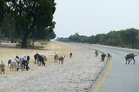 P1020575