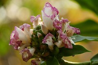 P1020756