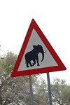 pas op !!!
